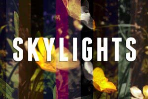 Skylights - Instagram style vintage filters for After Effects